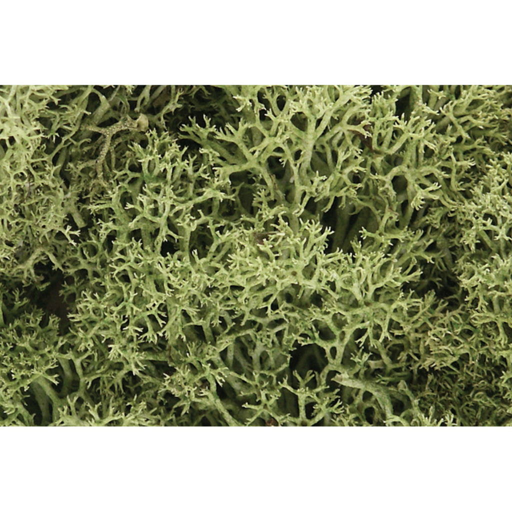 Woodland scenics Spring Green Lichen