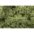 Woodland scenics Spring Green Lichen