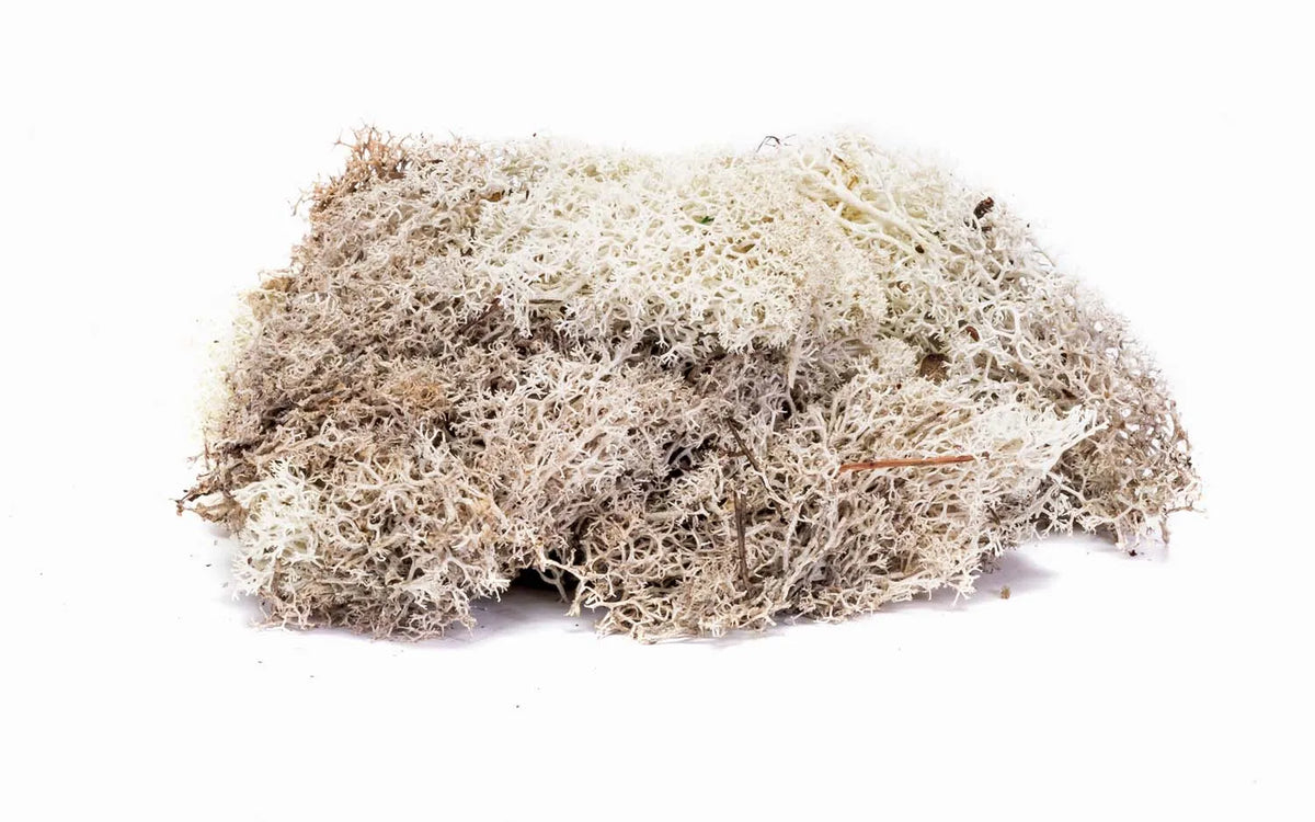 Hornby R7193 Lichen Stone Grey