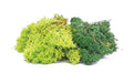 Hornby R7194 Lichen Green Mix