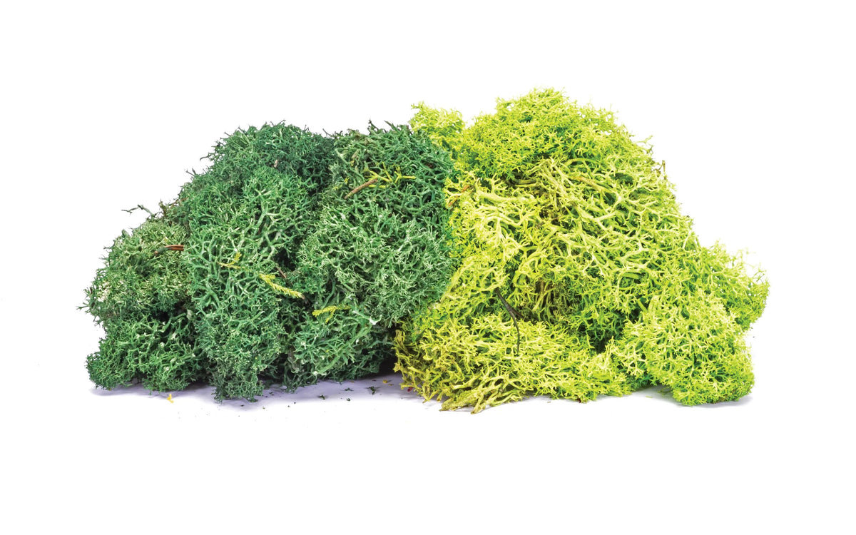 Hornby R7195 Lichen Large Green Mix