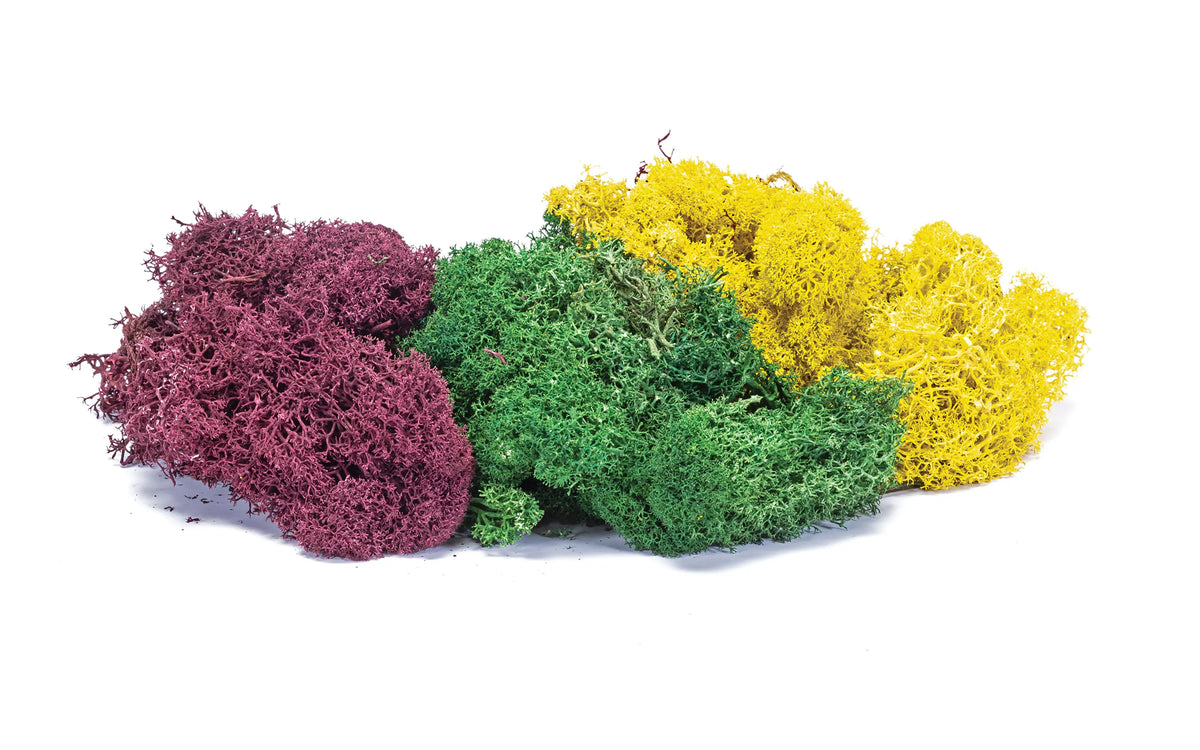 Hornby R7197 Lichen Large Autumn Mix