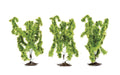 Hornby R7205 Birch Trees 3x Pieces
